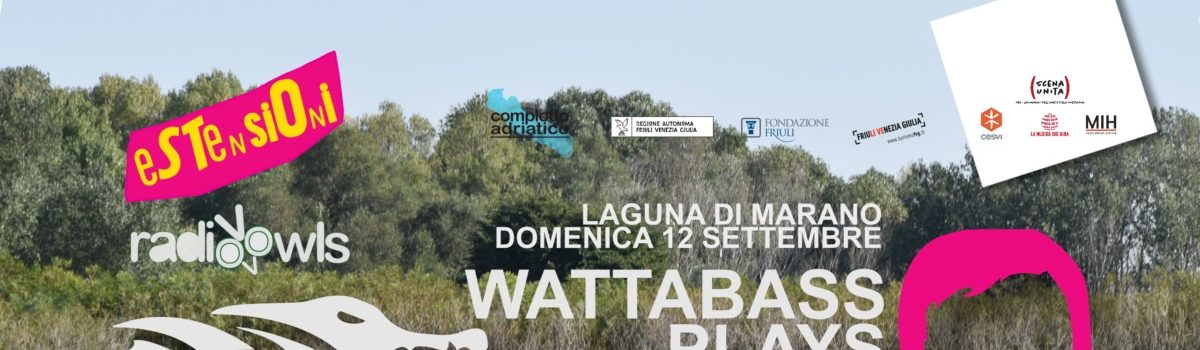 Wattabass Plays Lagunanoise