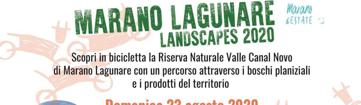 Landscape 2020